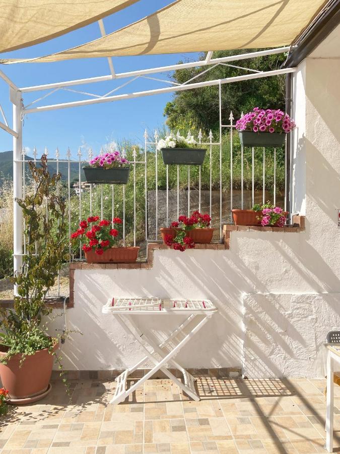La Meriggia Bed & Breakfast Pisciotta